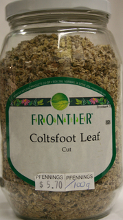 Coltsfoot  Leaf - C/S